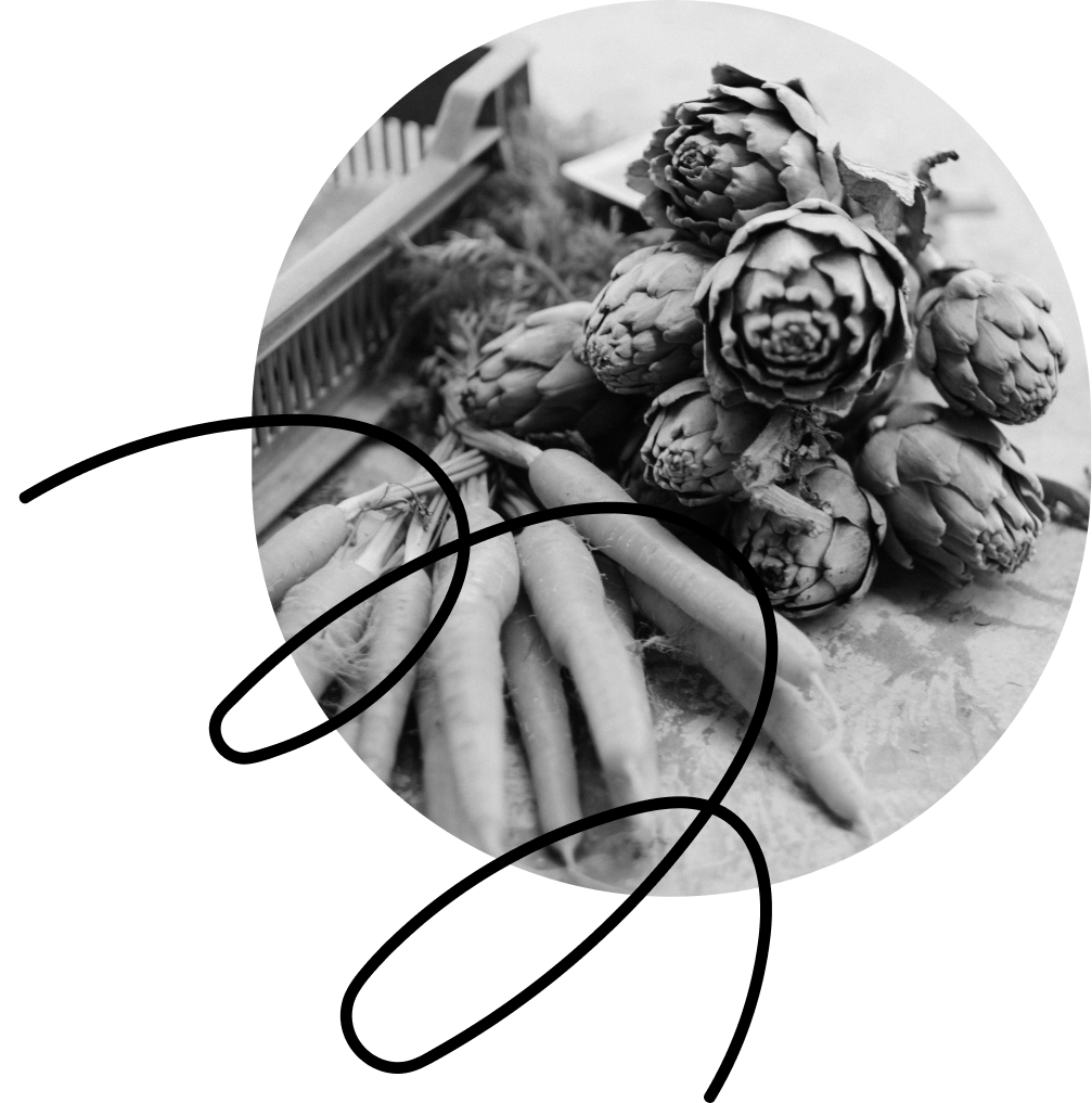 Fresh organic vegetables